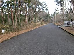 鳥取県西伯郡伯耆町丸山1803番地938号