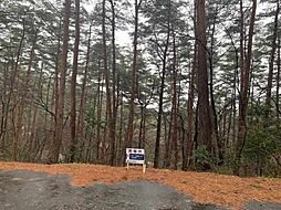 鳥取県西伯郡伯耆町丸山