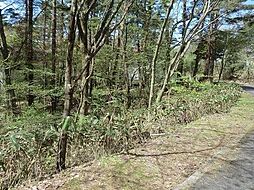 鳥取県西伯郡伯耆町丸山