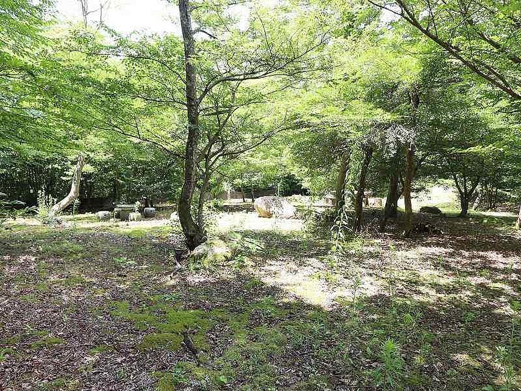 detached 鳥取県西伯郡伯耆町丸山