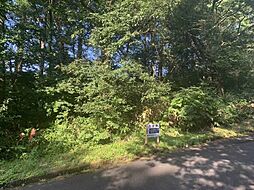 鳥取県西伯郡伯耆町丸山