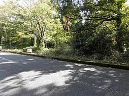 鳥取県西伯郡伯耆町大瀧