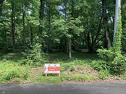 鳥取県西伯郡伯耆町大瀧