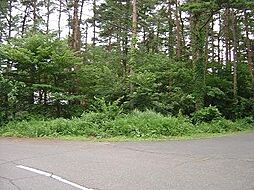 鳥取県西伯郡伯耆町丸山