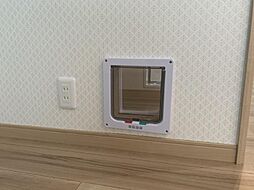 室内の画像