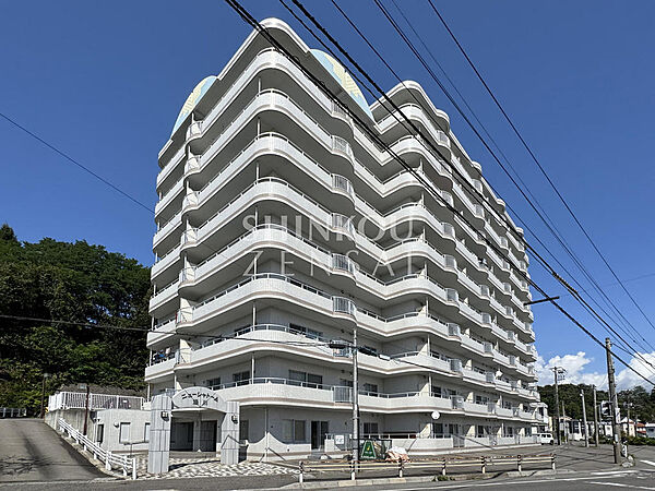 外観：301000090105