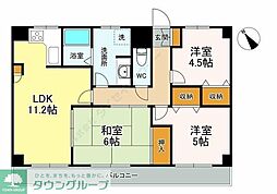 JR常磐線 柏駅 徒歩6分の賃貸マンション 7階3LDKの間取り