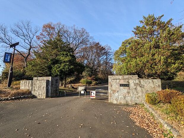 【公園】都立狭山公園南門まで610ｍ