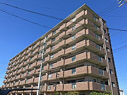 ラビデンス江松