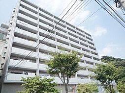 シティ・光陽朝霞泉水