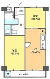 朝霞サンハイツ 2DKの間取図画像