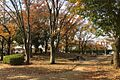 丸山台公園まで...