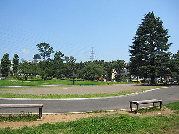 美しが丘公園：550ｍ（徒歩7分）