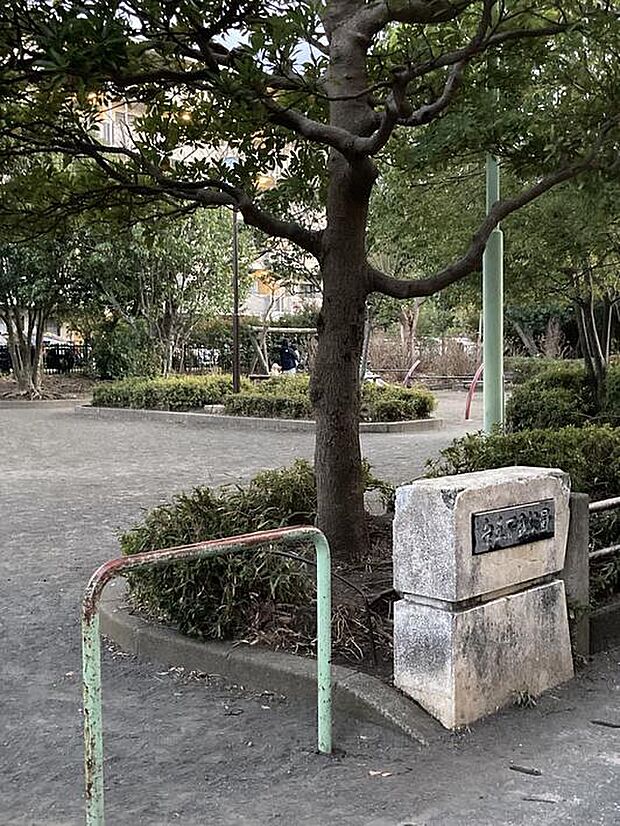 台五丁目公園までm(徒歩分)