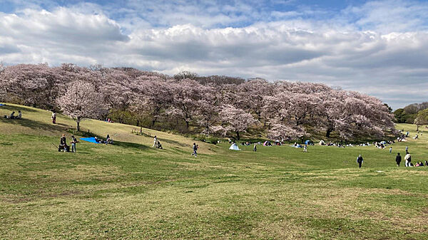 根岸森林公園まで80m(徒歩1分)