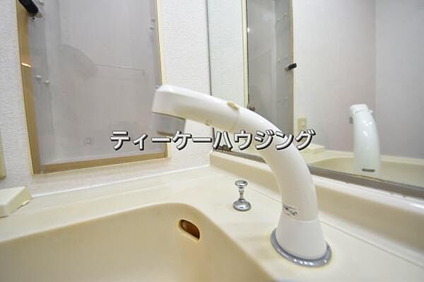 毎日の身だしなみはここでバッチリ。シャンプードレッサー付洗面台です。