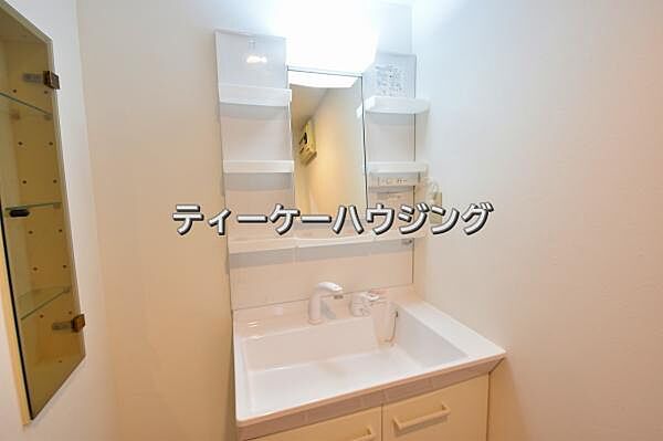 毎日の身だしなみはここでバッチリ。シャンプードレッサー付洗面台です。