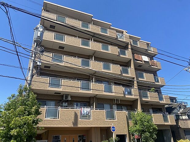 セザール谷塚(3LDK) 5階の外観