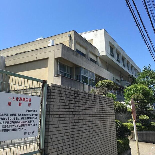 川口市立戸塚東小学校(227m)