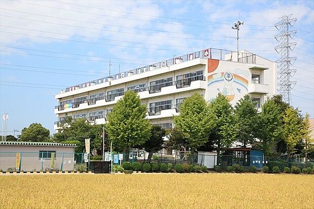 三郷市立幸房小学校（554m）
