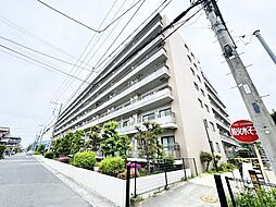 ベルドゥムール春日部東