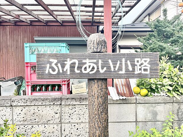 家の前には散歩道があります。