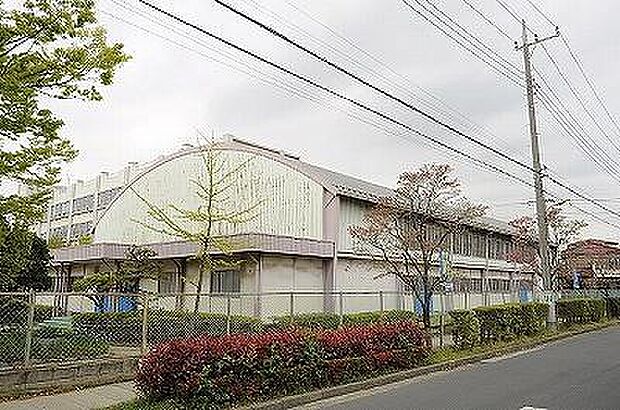 八潮市立松之木小学校（197m）