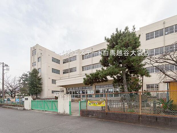 八潮市立八條中学校（3500m）