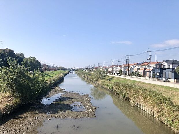 廣橋から新方川を望む。(250m)