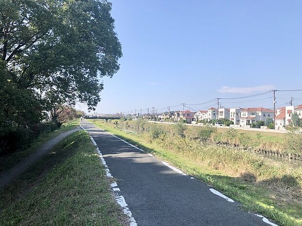 新方川沿いの遊歩道は散歩やジョギングもいいですね。(250m)