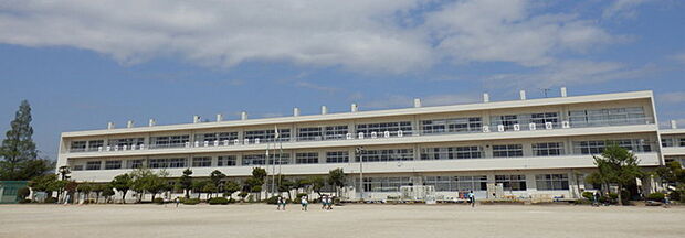 春日部市立立野小学校（250m）