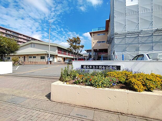 千間台小学校（700m）