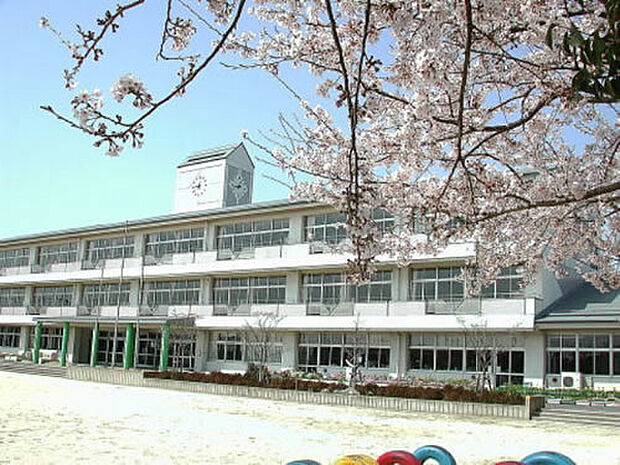 三郷市立前谷小学校(502m)