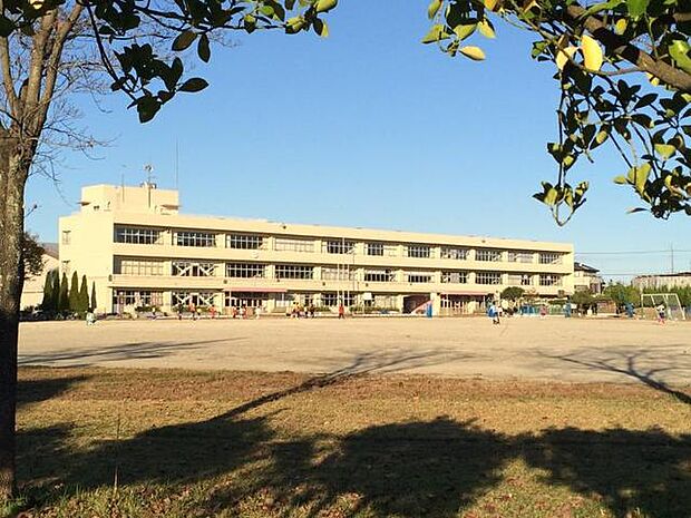 春日部市立中野小学校(264m)