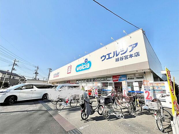 ウエルシア越谷宮本店(600m)
