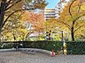 敷地内でも緑を感じられる広い中庭です