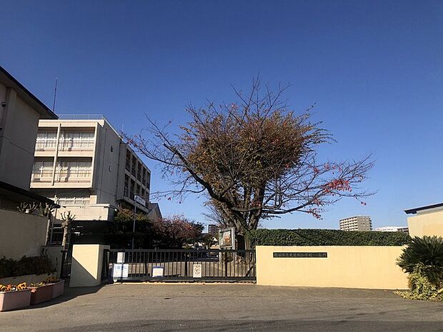 大袋北小学校(270m)