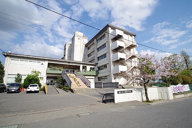 新栄中学校(1400m)