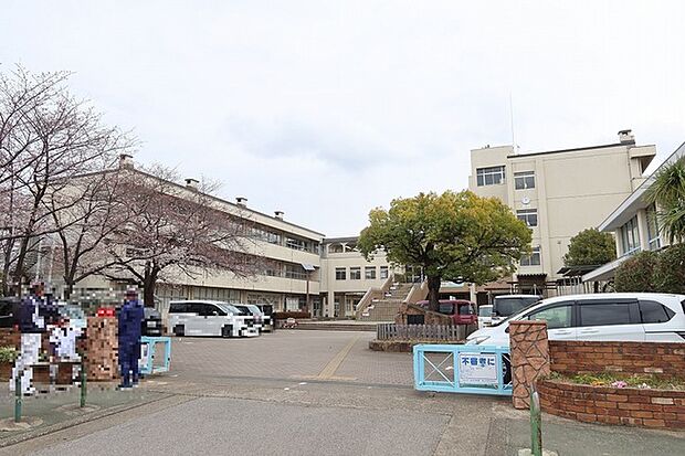 蒲生南小学校(900m)
