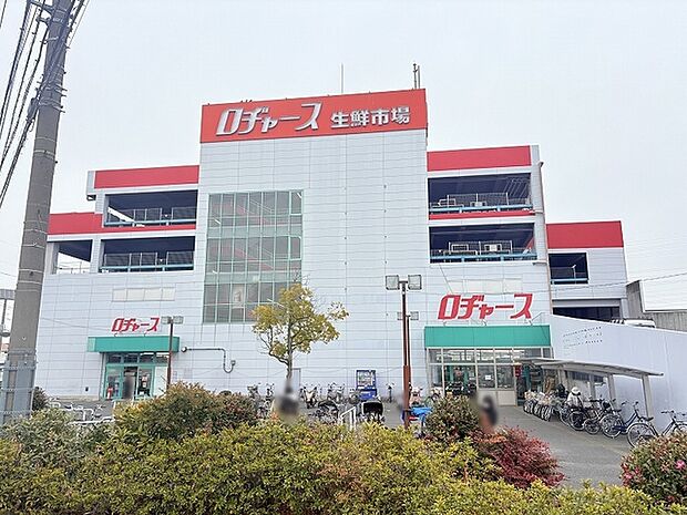 ロヂャース越谷店(450m)