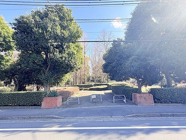 千間台第四公園 せんげん台駅西口で最大の公園で、自然を楽しめるだけでなく遊具も充実していて野球場やバスケットボールコートもあります。（80m）