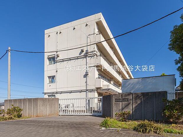 吉川市立栄小学校(719m)