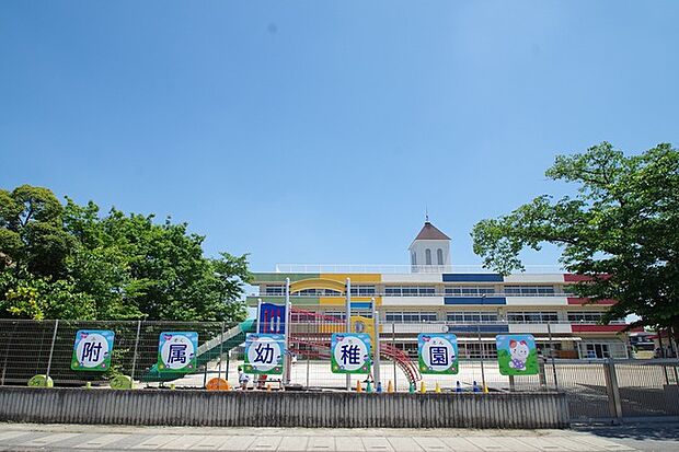 認定こども園越谷さくらの森 青空の下、緑に囲まれた明るい学び舎が、穏やかな日常を育みます。(1000m)