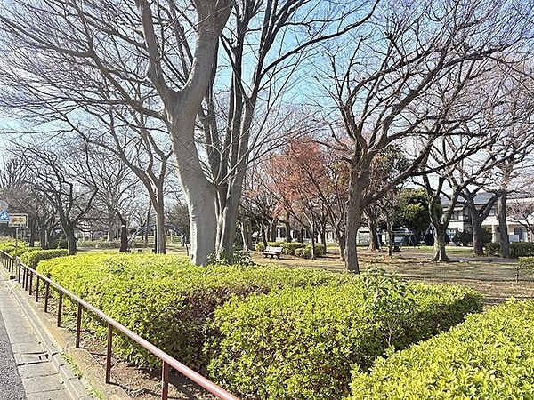 諏訪木西公園 自然豊かな諏訪木西公園（400m）