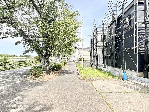 季節の移ろいを感じさせる並木道がすぐそばにあり、日々の暮らしに穏やかな潤いをもたらしてくれる立地です。