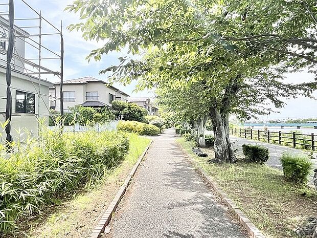日常の喧騒を忘れさせてくれるような、四季の彩りを感じる穏やかな緑道が暮らしのすぐそばにあります。