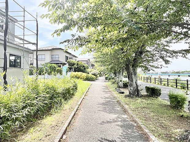 穏やかな緑に囲まれた小道は、季節の移ろいを感じながら心地よい散策を楽しめるゆとりある環境です。