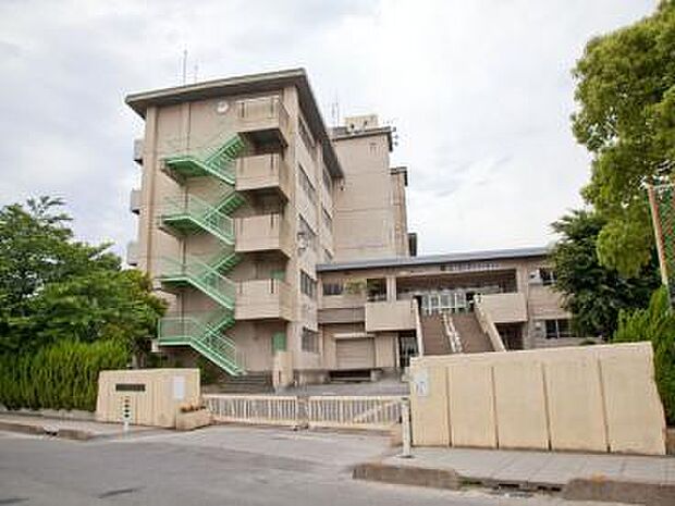 越谷市立武蔵野中学校(1600m)