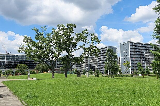 松原団地記念公園(700m)
