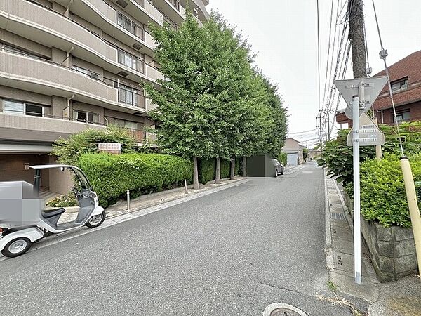街路樹の柔らかな緑が道沿いを彩り、静けさと心地よい調和を感じさせる日常の風景です。